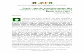 Brasil - Angola: estabelecimento das relações e início da ...africaeafricanidades.com.br/documentos/10082010_08.pdf · ... não somente para Angola, mas para a África em ... dos