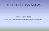 O FUTURO DAS ÁGUAS - sema.pa.gov.br · estimar a qualidade das águas da área. Realização de campanhas de coleta em pontos a serem definidos. Conhecimento das características