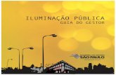 São Paulo, 2013 - iar.unicamp.bre7%e3o%20P... · No Brasil, o serviço de Iluminação Pública, em geral, é prestado pelas concessionárias distribuidoras de energia elétrica.