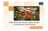 Reforma do sector das frutas e produtos hortícolasec.europa.eu/agriculture/fruit-and-vegetables/policy-reports/slide... · O orçamento da União Europeia financia actualmente as