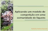 Aplicando um modelo de competição em uma comunidade de …ecologia.ib.usp.br/curso/2013/pdf/API-HELENA.pdf · Competição em uma comunidade de liquens • Número de manchas foi