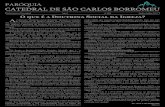 PARÓQUIA CATEDRAL DE SÃO CARLOS BORROMEUcatedralsaocarlos.com.br/wp-content/uploads/2017/06/Informativo_3.pdf · sociedade. Para assegurar o seu bem pessoal e familiar, cada pessoa