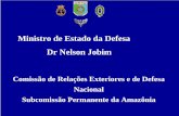 Ministro de Estado da Defesa Dr Nelson Jobim - senado.leg.br · TG. 6. 12. TG. 8. 12. TG. 1. 12. TG. 2. MA N IC O R ... O MD coordena o Programa cujo Plano de Trabalho estabelece