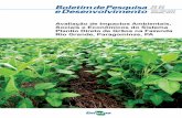 Sociais e Econômicos do Sistema Plantio Direto de Grãos na ... · ambientais, sociais e econômicos do Sistema Plantio Direto (SPD) de grãos na Fazenda Rio Grande, realizada em