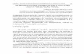 Acadêmico da Especialização em Direito Processual Penal da ... · 96 THEMIS - Revista da Escola Superior da Magistratura do Estado do Ceará Na definição simplificada de Cleber