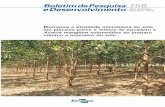 Biomassa e atividade microbiana do solo em plantios puros ... · Ministério da Agricultura, Pecuária e ... 1.710 milhões de m 3 ano 1 e a ... áreas sob preparo mínimo e intensivo