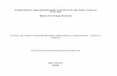PONTIFÍCIA UNIVERSIDADE CATÓLICA DE SÃO PAULO …livros01.livrosgratis.com.br/cp101274.pdf · Ensino de Cálculo pela Modelagem Matemática e Aplicações - Teoria e Prática ...