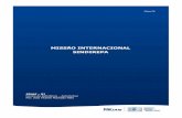 MISSÃO INTERNACIONAL SINDIREPAarquivos.sindicatodaindustria.com.br/app/cni_sindicatos/2011/01/10/... · modelo Fiat 500, para empréstimo ao cliente. ... transmissão (automática