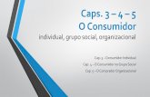 Caps. 3 4 5 O Consumidor - ufjf.br · • Tais aspectos levam alguns estudiosos a considerar o marketing mais apropriado para estudar o individuo, devido às preocupações com as