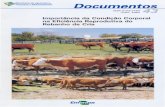  · nos sistemas extensivos de criação de bovinos no sul do Brasil estão na ordem de 60%. O principal ponto de estrangulamento é ... adjunta urna cartilha com as fotos ilustrando
