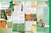 Tendências do mercado Esperanza é a cenoura Manejo e … · O jornal Semente é uma publicação quadrimestral da Seminis - uma marca da Di- visão de Hortaliças e Frutas da Monsanto.