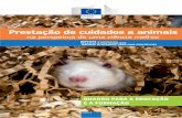QUADRO PARA A EDUCAÇÃO E A FORMAÇÃO - European ...ec.europa.eu/environment/chemicals/lab_animals/pdf/guidance/... · Um documento de trabalho sobre o desenvolvimento de um quadro