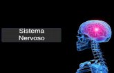 Sistema Nervoso - colegiosacramentinas.com.brcolegiosacramentinas.com.br/.../uploads/2015/11/sistema-nervoso.pdf · É dividido em dois hemisférios: direito e esquerdo. É formado