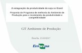 GT Ambiente de Produção · “Nãoexistem dados e informação de solos em escala adequada ... Objetivos principais do PronaSolos: ... acesso a todos cidadãos brasileiros.