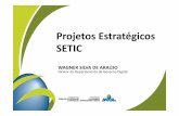 Projetos Estratégicos SETIC - hdibrasil.com.brhdibrasil.com.br/repositorio/expogov2017/apresentacoes/Wagner... · Serviços Públicos Conectados Autenticação Digital do Cidadão