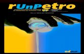 Revista eletRônica do MestRado eM engenhaRia de PetRóleo e …portal.unp.br/arquivos/pdf/institucional/edunp/runpetro_a1n2.pdf · C743 RunPetro - Revista Eletrônica do Mestrado