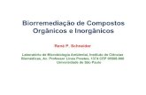 Biorremediação de Compostos Orgânicos e Inorgânicosarquivos.ambiente.sp.gov.br/pomarurbano/2011/10/RenePeterSchneider.pdf · Biorremediação de Compostos Orgânicos e Inorgânicos.