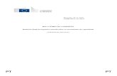 RELATÓRIO DA COMISSÃO Relatório final do inquérito ...ec.europa.eu/competition/sectors/energy/capacity_mechanisms_final... · mercado, em reuniões e através de duas séries