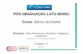 PÓS-GRADUAÇÃO LATO SENSU - Fernando Zaidan 13 - Big Data.pdf · Google File System (GFS ou GoogleFS) é um sistema de arquivos distribuídos, proprietário, desenvolvida pela Google