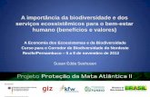 A importância da biodiversidade e dos serviços ecossistêmicos …elti.fesprojects.net/2012 TEEB_Recife/S.Seehusen_Importancia.pdf · A biodiversidade e os serviços ecossistêmicos