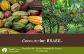 CocoaAction BRASIL - agricultura.gov.br · demandas do consumidor por autenticidade e esforços de sustentabilidade. • Apoiar atividades a nível de campo para o desenvolvimento