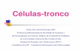 Células-tronco - cib.org.br · Professora deHematologia da Faculdade de Farmácia e ... diferenciar-se em diferentes tipos de tecidos ... Avaliação da histocompatiblidade