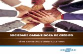 SOCIEDADE GARANTIDORA DE CRÉDITO - …intranet.df.sebrae.com.br/download/blog_responde/Série... · virtuoso são os sistemas de garantias de crédito com objetivo de viabilizar
