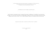 ANDRE KAZUNORI MAEBARA - Repositório de Outras Coleções ...repositorio.roca.utfpr.edu.br/jspui/bitstream/1/1875/1/CM_COECI... · outros), cálculo das forças internas (força