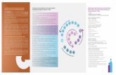 Final folder ICLEI FINAL - mma.gov.br · 2. Identiﬁcação das ... Apresentação pública dos resultados e validação do diagnóstico com os órgãos ... Forma de cobrança dos