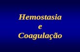 Hemostasia e Coagulação em PDF/10... · e Coagulação. Resposta Miogênica Resposta Simpática Resposta Plaquetária Resposta Humoral (Coagulação) ... via intrínseca (externa)