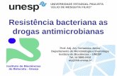 Resistência bacteriana as drogas antimicrobianas · Drogas que agem sobre os ribossomos e síntese protéica: Aminoglicosídeos, Tetraciclinas, Macrolídeos, Clindamicina, Cloranfenicol,