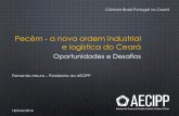 Pecém - a nova ordem industrial e logística do Ceará · 1. Manutenção de Máquinas Elétricas 2. Manutenção de Instrumentação 3. Serviços de Inspeção de Equipamentos 4.