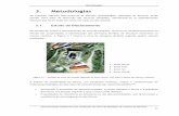 3. Metodologias - uBibliorum: Página principal · estudo das propriedades e identificação das principais famílias de diaclases existentes no maciço rochoso. A Figura 3.1 mostra