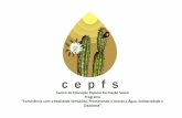 Centro de Educação Popular Formação Social Programa ... · Formação Social (CEPFS) é uma Organização Não ... qualidade de vida das comunidades e ... a consolidação da
