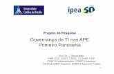 Governança de TI nas APE Primeiro Panorama - Ipea de TI... · 11 Projeto de Pesquisa Governança de TI nas APE Primeiro Panorama Prof. Dr. J. Souza Neto, PMP. CSX, CGEIT, CRISC,