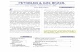 PETRÓLEO & GÁS BRASIL - Grupo de Economia da Energia do ... · análise do setor petrolífero na Rússia, país que, desde 1999, vem retomando gradualmente a im-portância no mercado