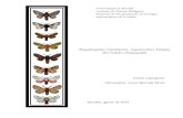 Megalopygidae (Lepidoptera, Zygaenoidea): biologia ...repositorio.unb.br/bitstream/10482/13104/5/2012... · diversidade e biogeografia ... Um breve histórico sobre filogenia e classificações