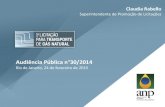 Audiência Pública n°30/2014 - rodadas.anp.gov.brrodadas.anp.gov.br/arquivos/Transporte_Gas/Consulta_audiencia_TG/A... · Publicação do edital e modelo do contrato e constituição