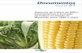 Aspectos da Cultura do Milho: Características e Evolução ... · 10 Aspectos da Cultura do Milho: Características e Evolução da Cultura no Estado do Maranhão entre 1990 e 2003