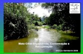 Mata Ciliar-Importância, Conservação e Recuperação · 4 INTERCEPTAÇÃO DA CHUVA PELAS ÁRVORES Escoamento sub-superficial da água,Armazenamento da água nas plantas, na serrapilheira