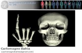 Apresentação do PowerPoint fileNeurocrânio – ossos realcionados ao encéfalo. Viscerocrânio – ossos relacionados a face, respiração, digestão