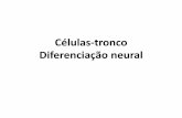 Células-tronco Diferenciação neural · Células-tronco Embrionárias (ES) Célula-tronco embrionária Ectoderma Progenitores Neurais Neurônios C-Myc Lin28 SSEA3 SSEA4 Smad2/3
