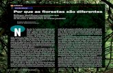 ECOLOGIA Por que as florestas são diferenteslerf.eco.br/img/publicacoes/2006_09 Por que as florestas sao... · metros de diâmetro e 20 metros de altura uma certa ... entre as espécies