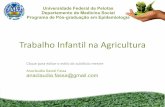 Trabalho Infantil na Agricultura - Secretaria da Saúde · • A idade mínima para desempenhar um trabalho na agricultura ... para o uso infanto-juvenil ... • Bahia 59%