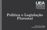 Política e Legislação Florestal · É o documento que reúne as leis fundamentais de estruturação do estado, formação dos poderes, formas de governo e direitos e deveres dos