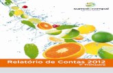 Relatório Contas Consolidadas 1º Trimestre | 2012 | SUMOL ...web3.cmvm.pt/sdi2004/emitentes/docs/PCT39986.pdf · marca passou de refrigerante de fruta a néctar, mantendo o mesmo