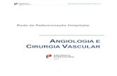 ANGIOLOGIA E CIRURGIA VASCULAR - sns.gov.pt .J. Albuquerque e Castro Sociedade Portuguesa de Angiologia