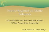 Sub-rede do Núcleo Executor INPA- PPBio Amazônia Ocidental ...§ão_CENBAM... · • Instituto Nacional de Pesquisas da Amazônia ... Recursos Pesqueiros. • Engenharia em Aquicultura