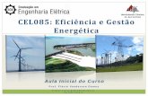 UNIVERSIDADE FEDERAL DE CEL085: Eficiência e Gestão ... · Conhecer procedimentos para eficiência energética em ... Fundamentos de Eficiência Energética, ... Guia de Aplicações