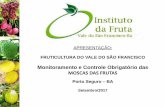 APRESENTAÇÃO - agricultura.gov.br · APRESENTAÇÃO: FRUTICULTURA DO VALE DO SÃO FRANCISCO Monitoramento e Controle Obrigatório das MOSCAS DAS FRUTAS Porto Seguro –BA Setembro/2017